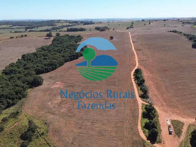 #427 - Fazenda para Venda em Piracanjuba - GO - 2