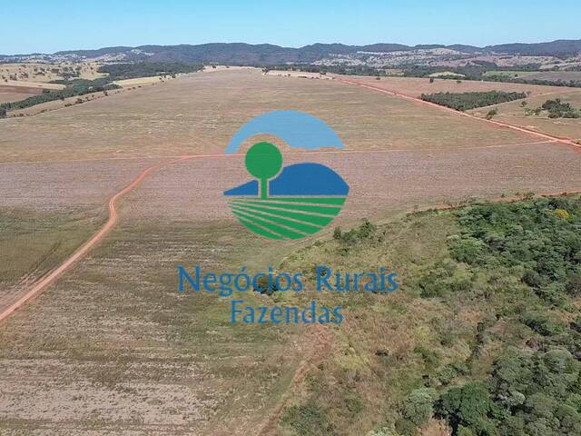 #427 - Fazenda para Venda em Piracanjuba - GO - 3
