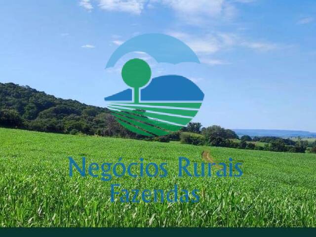 #428 - Fazenda para Venda em Edealina - GO - 1