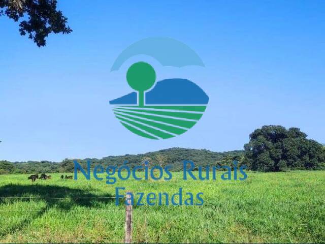 #428 - Fazenda para Venda em Edealina - GO - 3