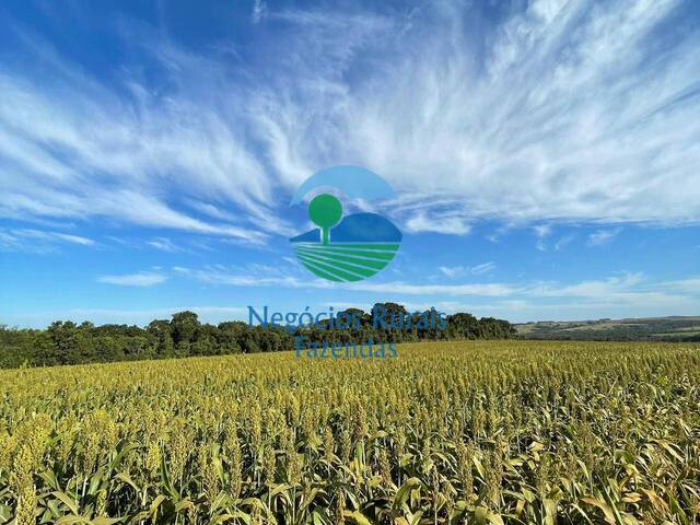 #433 - Fazenda para Venda em Bela Vista de Goiás - GO - 2