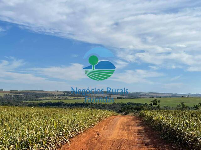 #433 - Fazenda para Venda em Bela Vista de Goiás - GO - 3