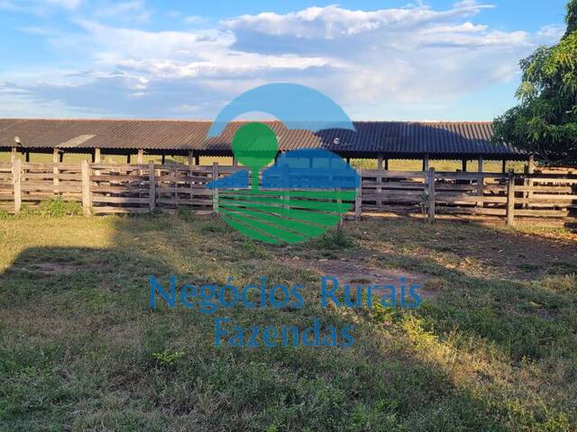 #435 - Fazenda para Venda em Colinas do Sul - GO - 2