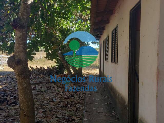#435 - Fazenda para Venda em Colinas do Sul - GO - 3