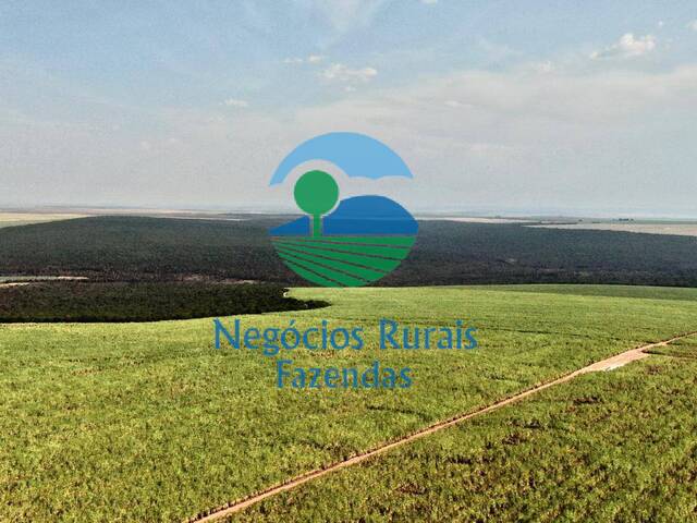 Fazenda para Venda em Mineiros - 4