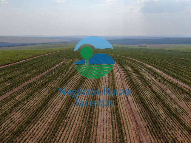 #436 - Fazenda para Venda em Mineiros - GO - 3