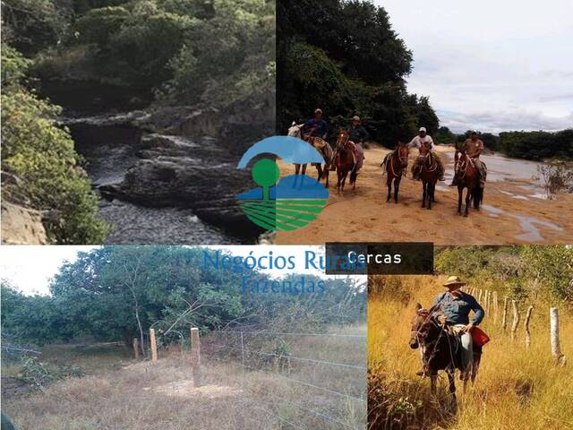 #444 - Fazenda para Venda em Paranã - TO - 2