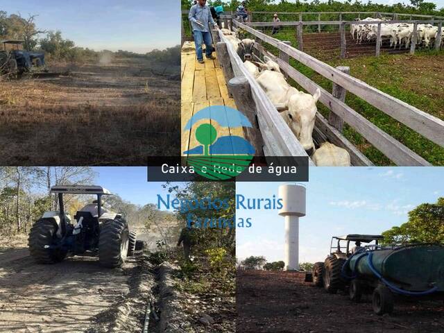 #444 - Fazenda para Venda em Paranã - TO - 3
