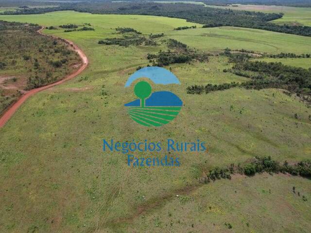 #450 - Fazenda para Venda em Miranorte - TO - 2