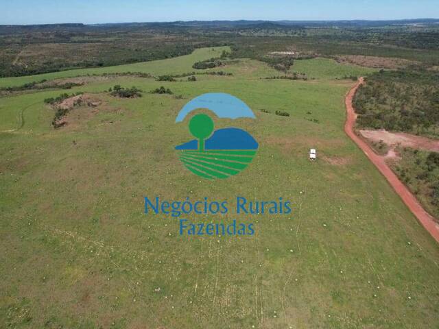 #450 - Fazenda para Venda em Miranorte - TO - 1