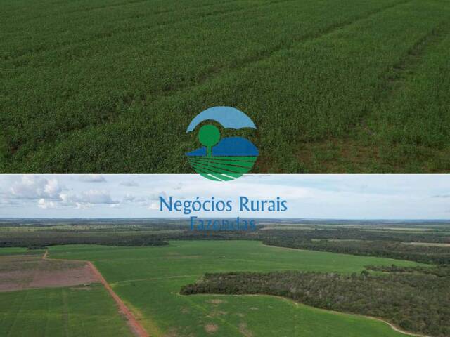#450 - Fazenda para Venda em Miranorte - TO - 3