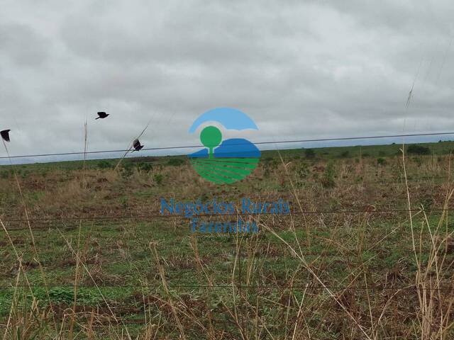 #452 - Fazenda para Venda em Nova Crixás - GO - 2
