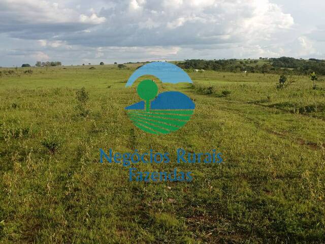 #455 - Fazenda para Venda em Nova América - GO - 2