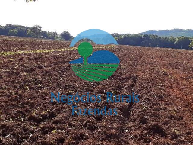 #455 - Fazenda para Venda em Nova América - GO - 3