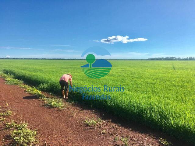 #459 - Fazenda para Venda em Lagoa da Confusão - TO - 1