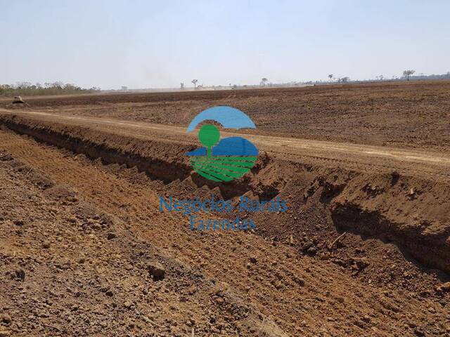 #459 - Fazenda para Venda em Lagoa da Confusão - TO - 3
