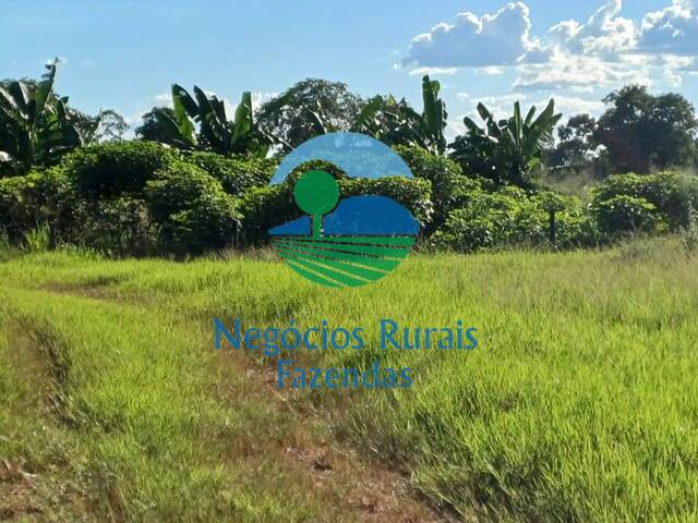 #464 - Fazenda para Venda em Formoso do Araguaia - TO - 3