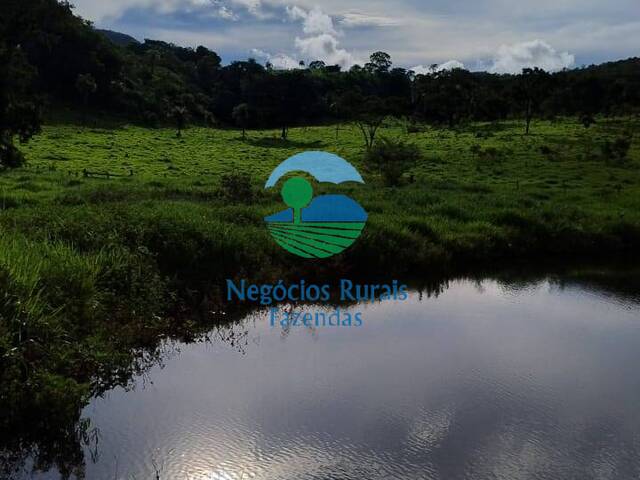 #465 - Fazenda para Venda em Campinaçu - GO - 2