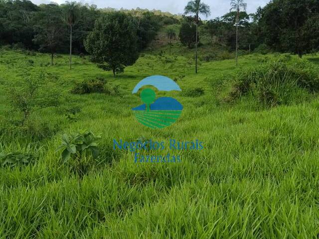 #465 - Fazenda para Venda em Campinaçu - GO - 1