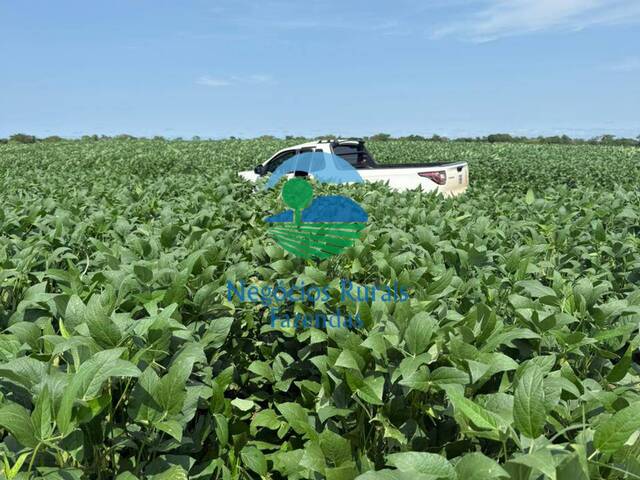 #466 - Fazenda para Venda em Couto de Magalhães - TO - 2