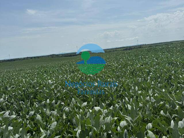 #466 - Fazenda para Venda em Couto de Magalhães - TO - 3