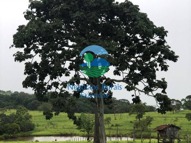 #467 - Fazenda para Venda em Santa Isabel - GO - 1