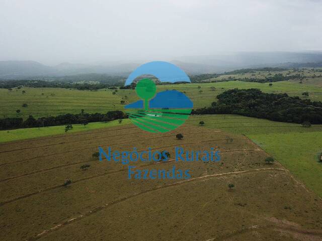 #467 - Fazenda para Venda em Santa Isabel - GO - 2