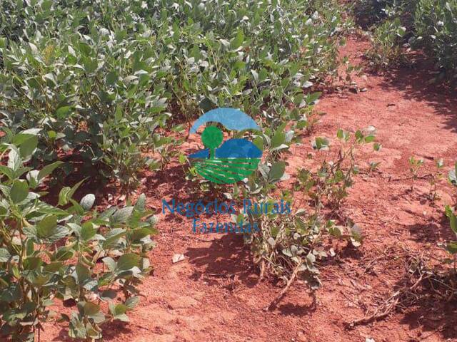 #474 - Fazenda para Venda em Goianésia - GO - 3