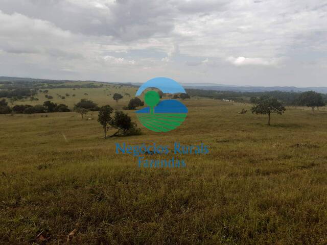 #475 - Fazenda para Venda em Nova América - GO