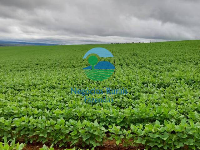 #477 - Fazenda para Venda em Alto Paraíso de Goiás - GO - 1