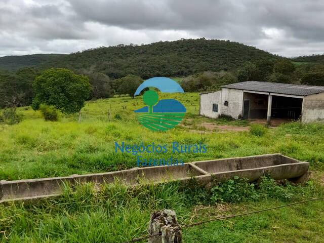 #477 - Fazenda para Venda em Alto Paraíso de Goiás - GO - 3