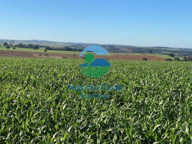 #480 - Fazenda para Venda em São Miguel do Passa Quatro - GO - 1
