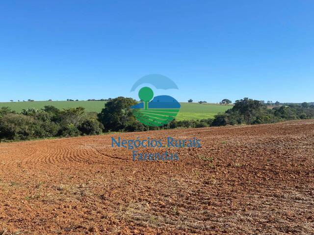 #480 - Fazenda para Venda em São Miguel do Passa Quatro - GO - 3