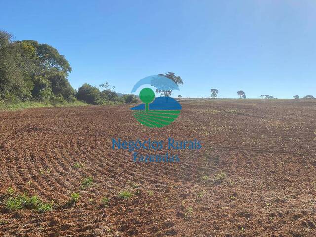 #480 - Fazenda para Venda em São Miguel do Passa Quatro - GO - 2
