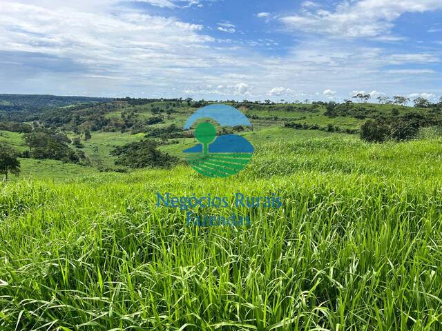 #497 - Fazenda para Venda em Ponte Alta do Tocantins - TO - 1