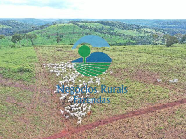 #497 - Fazenda para Venda em Ponte Alta do Tocantins - TO - 2