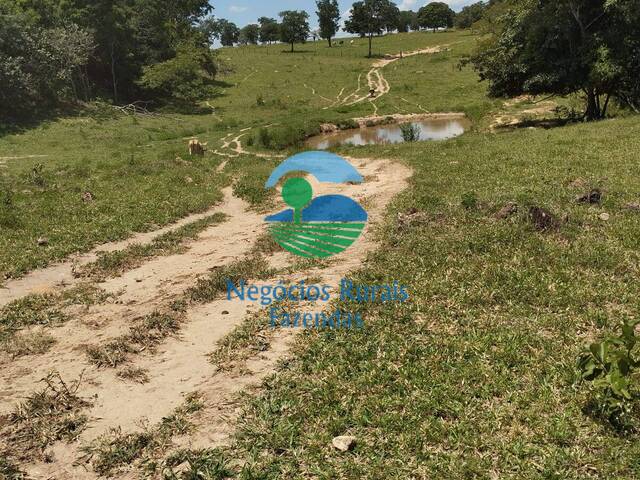 #500 - Fazenda para Venda em Campestre de Goiás - GO - 2