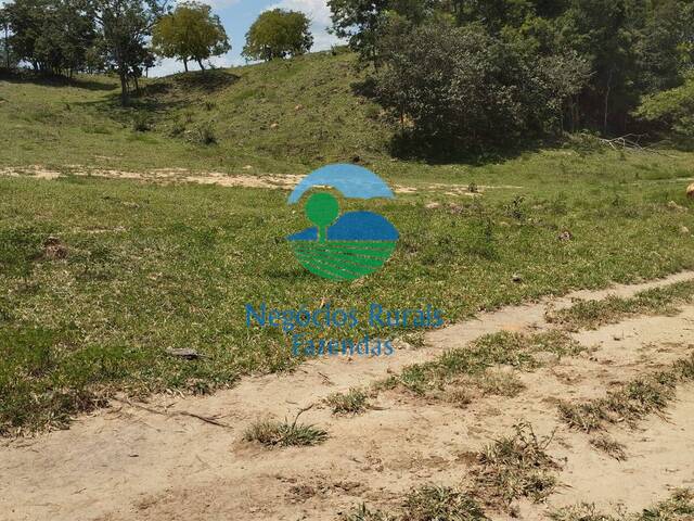 #500 - Fazenda para Venda em Campestre de Goiás - GO - 3