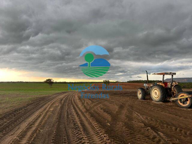 #502 - Fazenda para Venda em Recursolândia - TO - 1