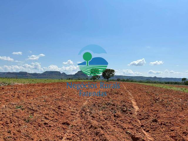 #502 - Fazenda para Venda em Recursolândia - TO - 2