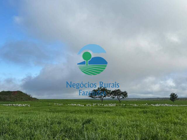 #502 - Fazenda para Venda em Recursolândia - TO - 3