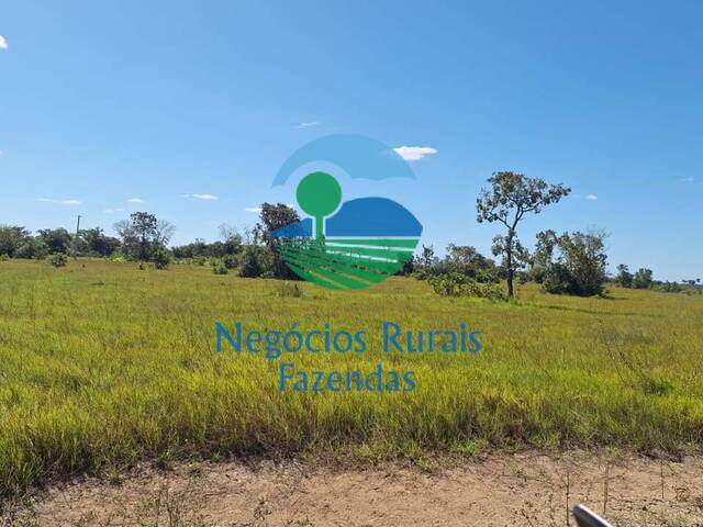 #503 - Fazenda para Venda em São Miguel do Araguaia - GO - 3
