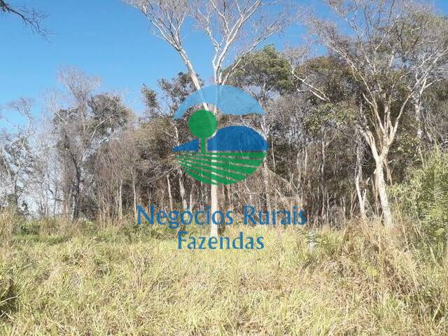 #503 - Fazenda para Venda em São Miguel do Araguaia - GO - 2
