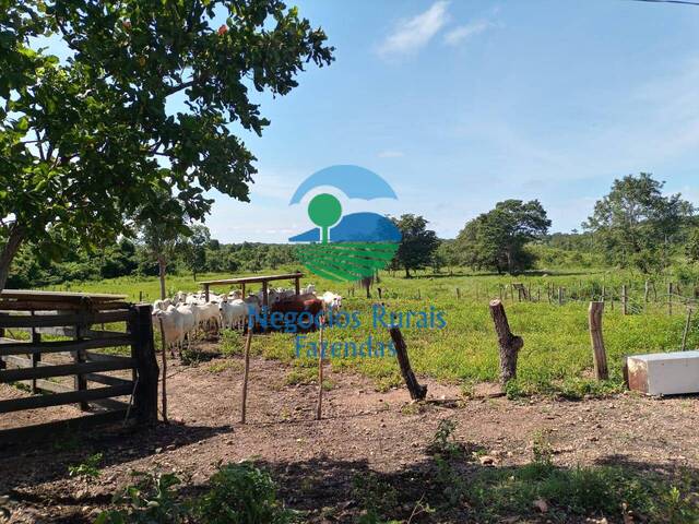 #506 - Fazenda para Venda em Natividade - TO - 1