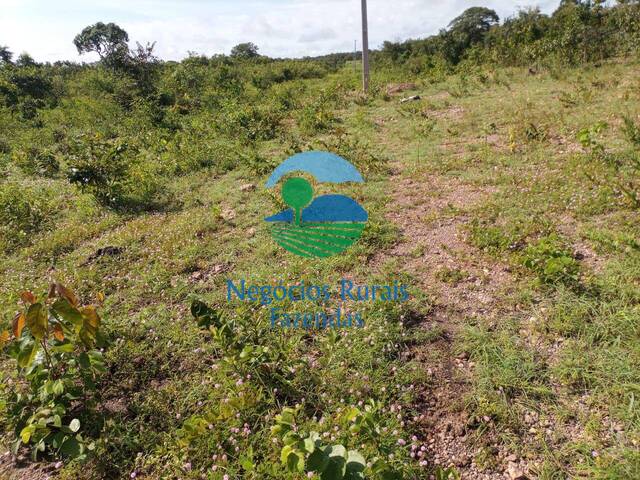 #506 - Fazenda para Venda em Natividade - TO - 3
