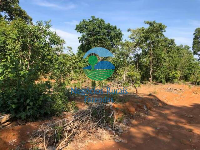 Fazenda para Venda em Formoso - 4