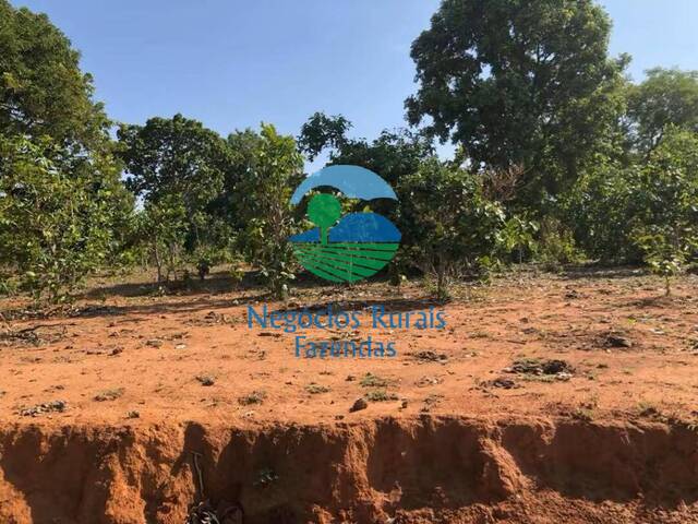 Fazenda para Venda em Formoso - 5