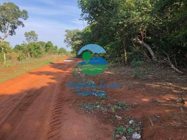 #507 - Fazenda para Venda em Formoso - GO - 1