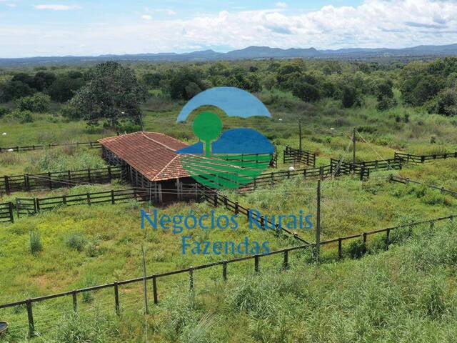 #507 - Fazenda para Venda em Formoso - GO - 3