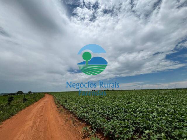 #512 - Fazenda para Venda em Corumbaíba - GO - 1